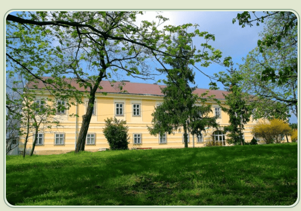 A Szent Gellért Általános Iskola honlapjának megújítása